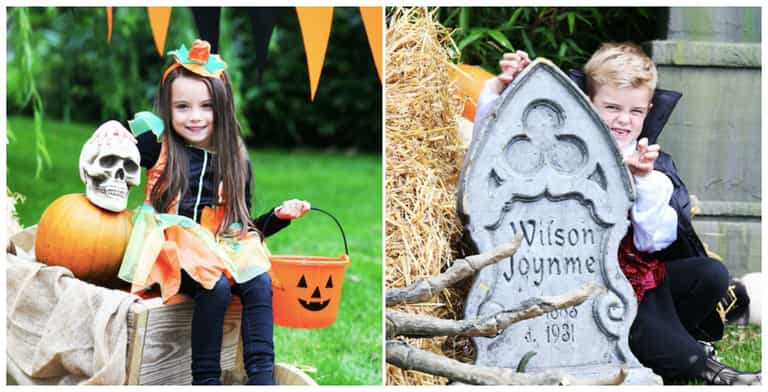 Tayto Park announces new family adventure experience for midterm break Tayto Park announces new family adventure experience for midterm break