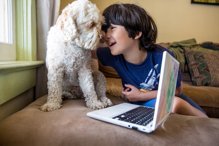 Cork school gets Ireland’s first classroom therapy dog to help ease pupils’ anxiety Cork school gets Ireland’s first classroom therapy dog to help ease pupils’ anxiety