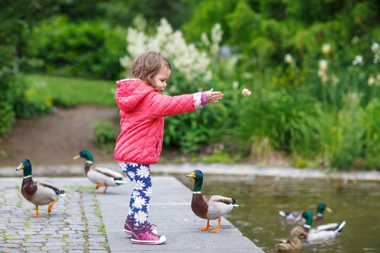 Mum sparks debate after admitting she left 3-year-old daughter alone in the park Mum sparks debate after admitting she left 3-year-old daughter alone in the park