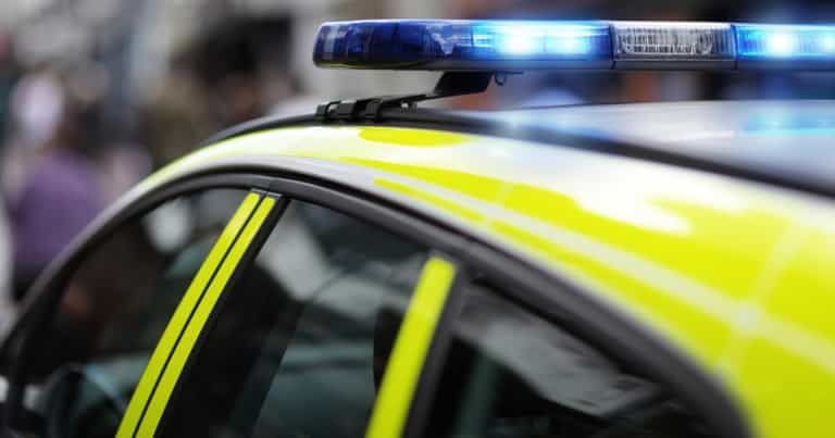 Teen boy jailed for luring friend, 12, to woods and stabbing him 70+ times Teen boy jailed for luring friend, 12, to woods and stabbing him 70+ times