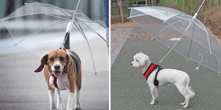 Dog owners are going crazy for this Dublin man’s pet umbrellas Dog owners are going crazy for this Dublin man’s pet umbrellas