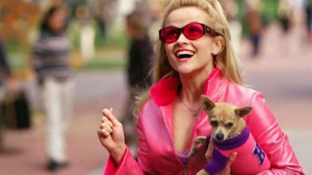 Legally Blonde 3 will catch up with Elle Woods as a working mum Legally Blonde 3 will catch up with Elle Woods as a working mum