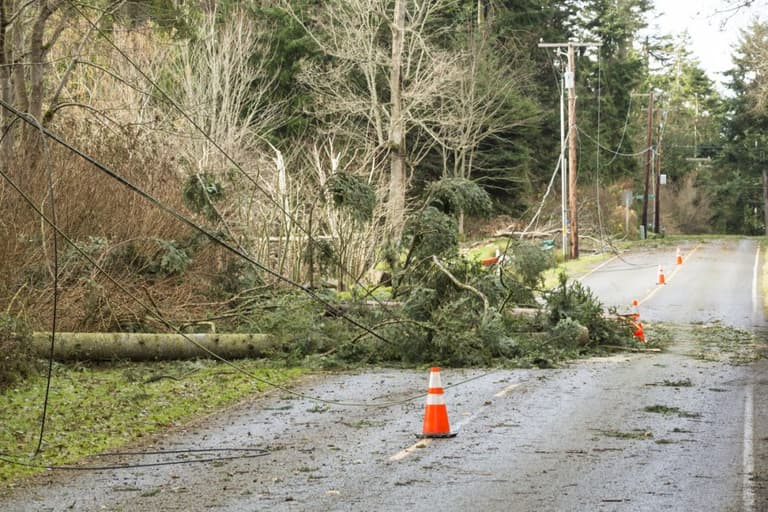 Storm Eunice: Will schools be forced to close ahead of blustery conditions? Storm Eunice: Will schools be forced to close ahead of blustery conditions?