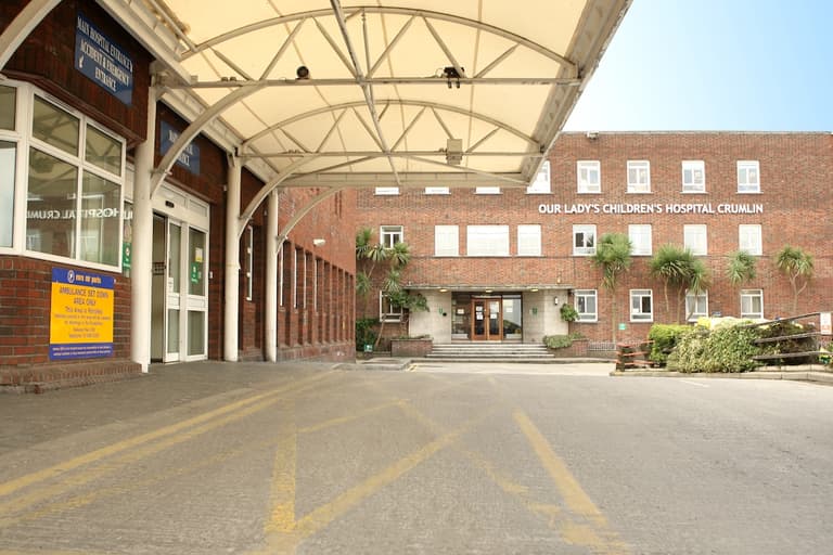 Ireland’s children’s hospitals face disruptions due to strike action Ireland’s children’s hospitals face disruptions due to strike action