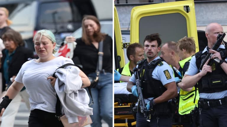 Multiple people killed in Denmark shopping mall shooting Multiple people killed in Denmark shopping mall shooting