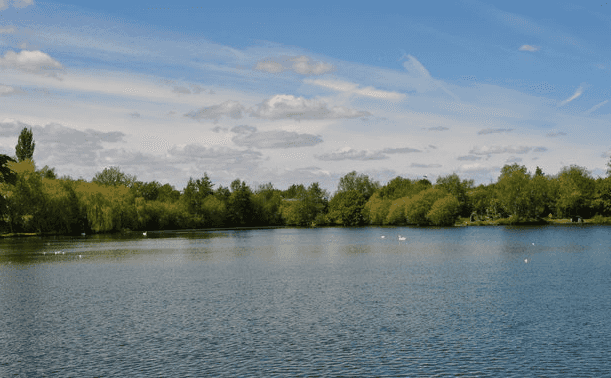 The bodies of three missing children and woman found in Minnesota lake The bodies of three missing children and woman found in Minnesota lake
