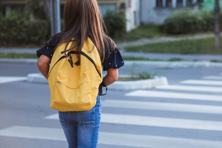 Motorists who fail to stop at school warden sign will be fined €160 Motorists who fail to stop at school warden sign will be fined €160