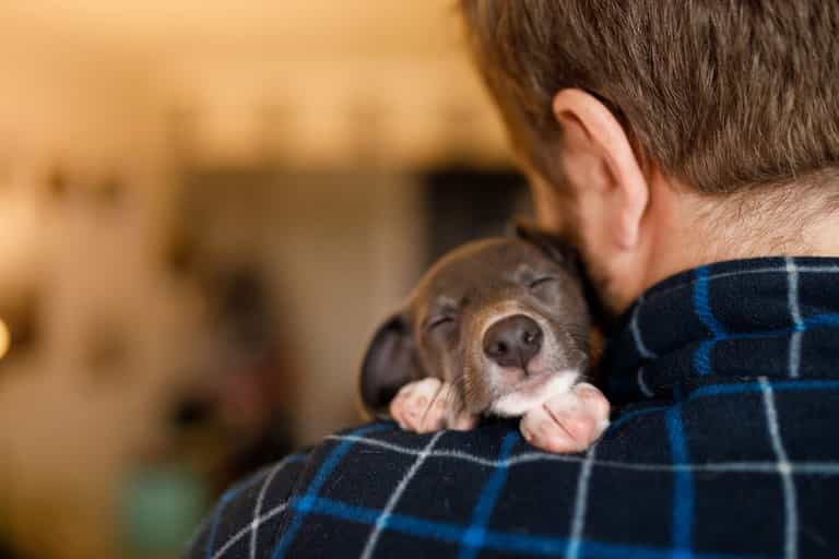 Dogs Trust seek public’s help after taking in 54 puppies in 3 weeks Dogs Trust seek public’s help after taking in 54 puppies in 3 weeks