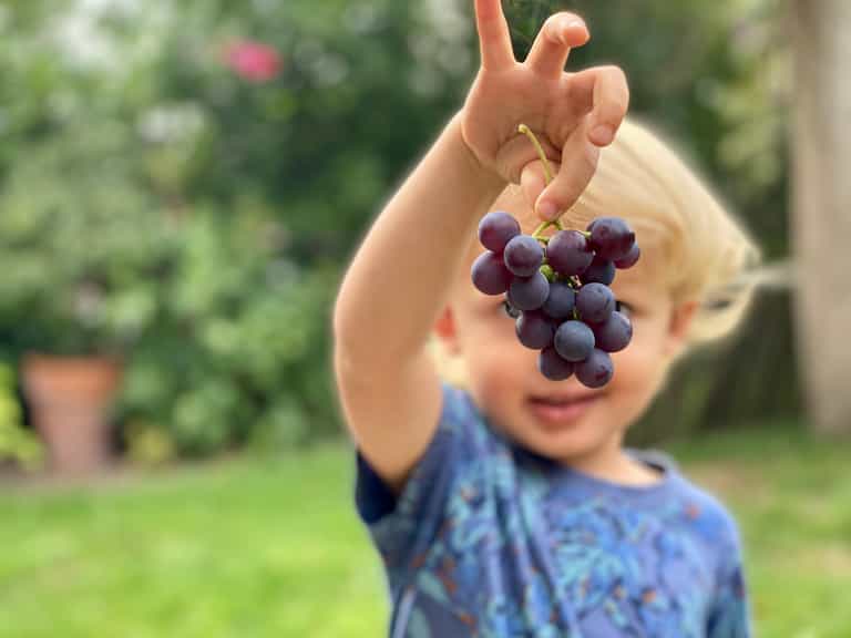 A paramedic has shared a simple hack to check for toddler choking hazards A paramedic has shared a simple hack to check for toddler choking hazards