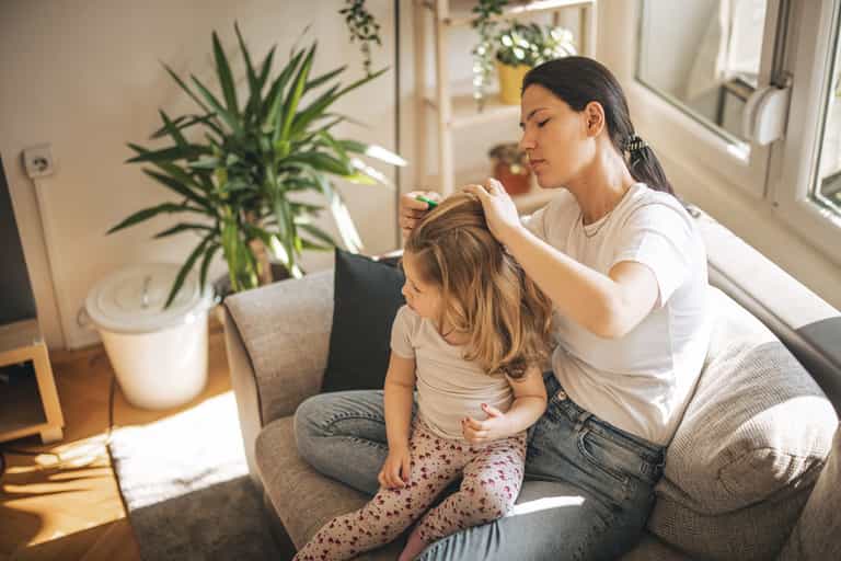 Head lice – everything parents need to know Head lice – everything parents need to know