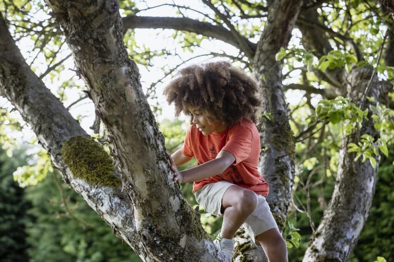 The importance of ‘risky play’ and why expert says ‘parents should back off a bit’ The importance of ‘risky play’ and why expert says ‘parents should back off a bit’