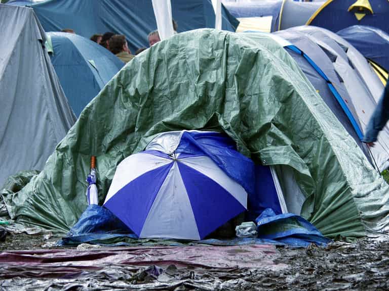 Forever Young Festival postponed for day and weekend visitors Forever Young Festival postponed for day and weekend visitors