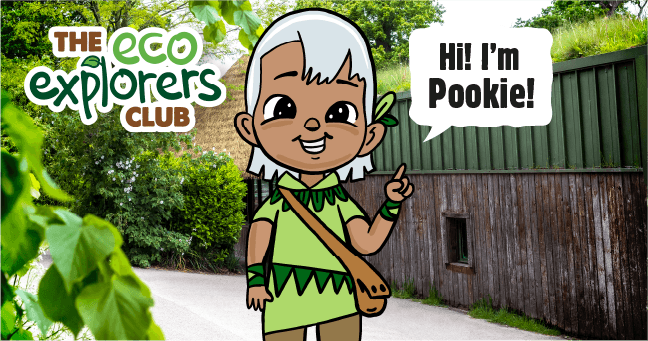 Meet Pookie, Dublin Zoo’s sustainability ambassador on a very special mission Meet Pookie, Dublin Zoo’s sustainability ambassador on a very special mission