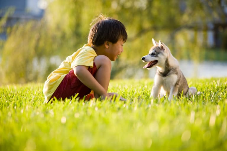 ‘My mum left my one-year-old unsupervised in her garden for an hour – am I right to be furious?’ ‘My mum left my one-year-old unsupervised in her garden for an hour – am I right to be furious?’