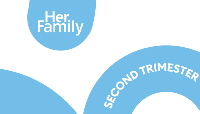 The second trimester of pregnancy: What to expect and everything you need to know The second trimester of pregnancy: What to expect and everything you need to know