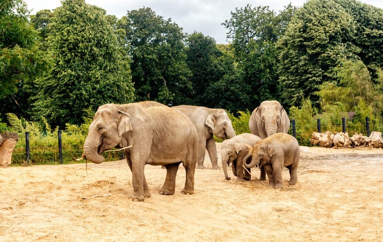 Kids in costume will go free at Dublin Zoo this Halloween weekend Kids in costume will go free at Dublin Zoo this Halloween weekend
