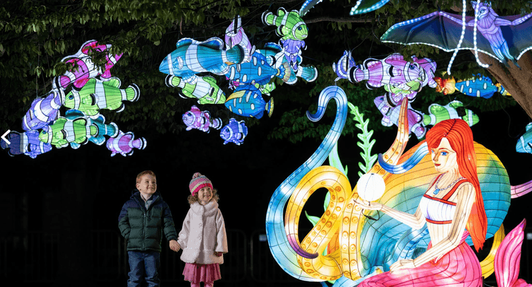Wild Lights at Dublin Zoo will have a magical new theme this year Wild Lights at Dublin Zoo will have a magical new theme this year