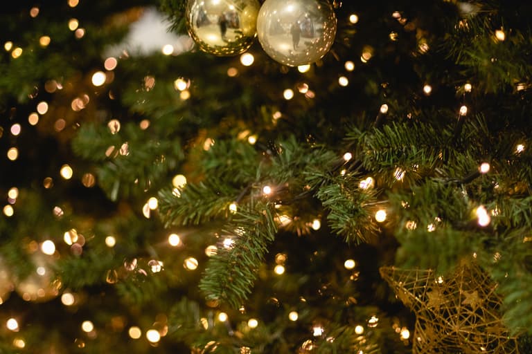 Christmas lights sold online recalled over electric shock fears after many sold in Ireland Christmas lights sold online recalled over electric shock fears after many sold in Ireland