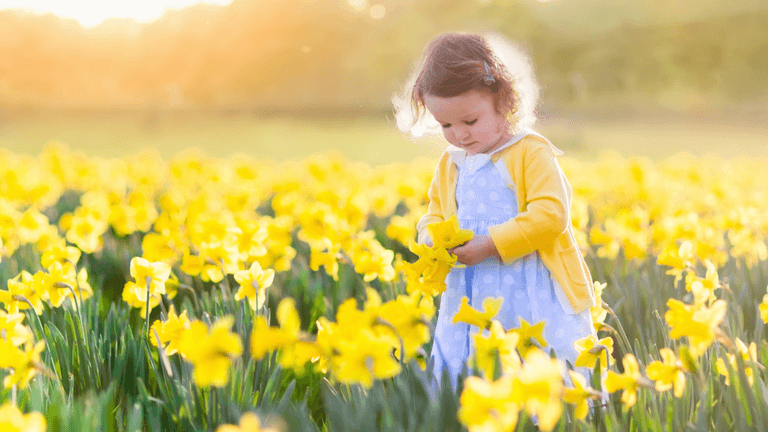 These are the floral names tipped to be popular in 2024 These are the floral names tipped to be popular in 2024