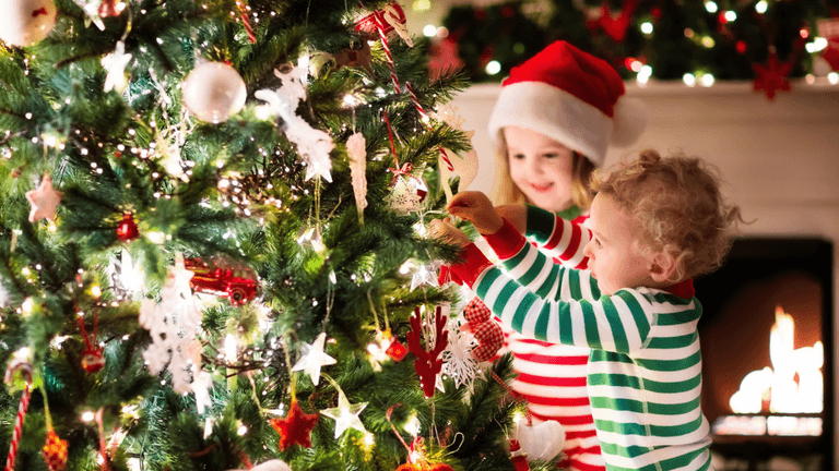 Where not to place your Christmas tree this year Where not to place your Christmas tree this year