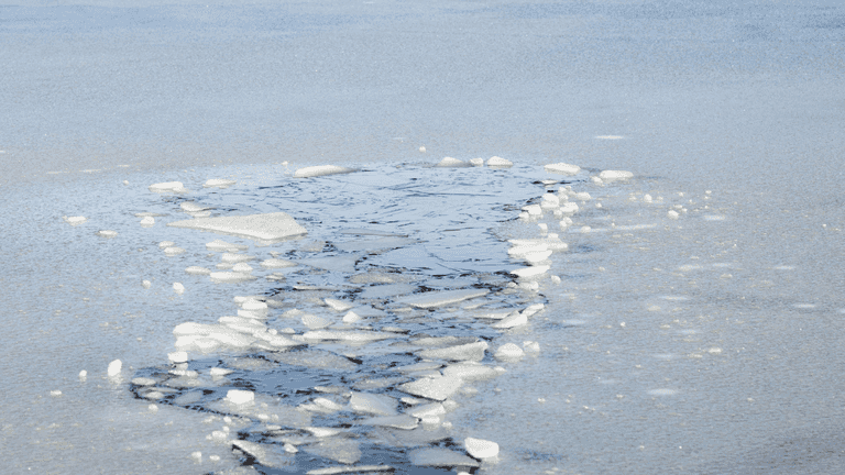 Good Samaritans save 12-year-old boy who fell through frozen pond Good Samaritans save 12-year-old boy who fell through frozen pond