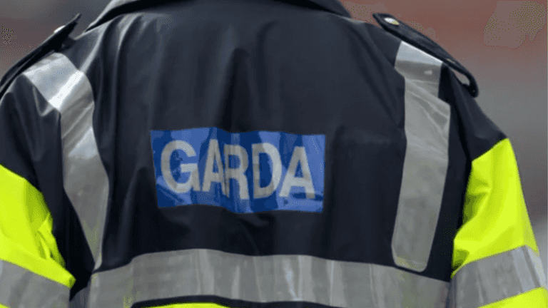 Boy rushed to hospital after savage dog attack in Kerry Boy rushed to hospital after savage dog attack in Kerry