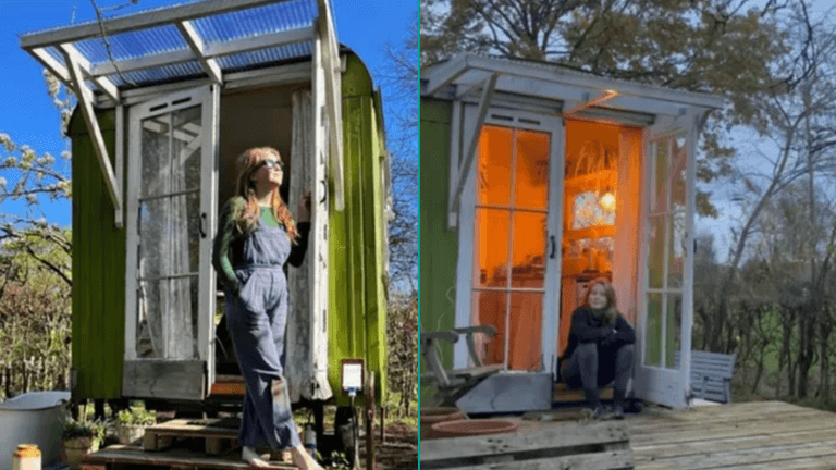 ‘I live in a shed in my parents’ garden which I bought for €1,800’ ‘I live in a shed in my parents’ garden which I bought for €1,800’