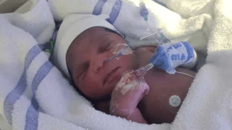 Baby Elsa: Police still searching for abandoned infant’s mother Baby Elsa: Police still searching for abandoned infant’s mother