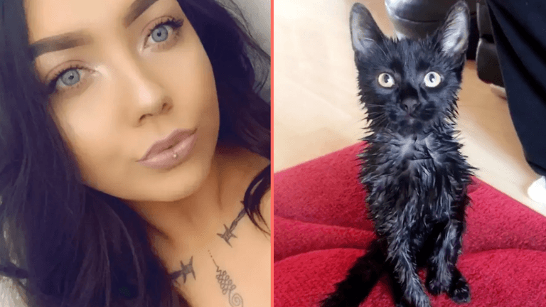 Woman tips water over neighbour’s son as revenge for him doing same to her cat Woman tips water over neighbour’s son as revenge for him doing same to her cat
