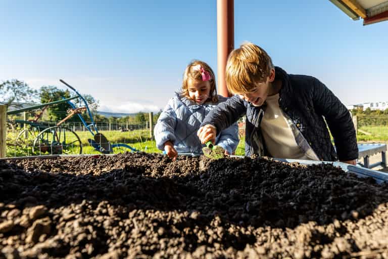 Nature Fest is coming to Airfield Estate this week – here’s what you and your family can expect Nature Fest is coming to Airfield Estate this week – here’s what you and your family can expect