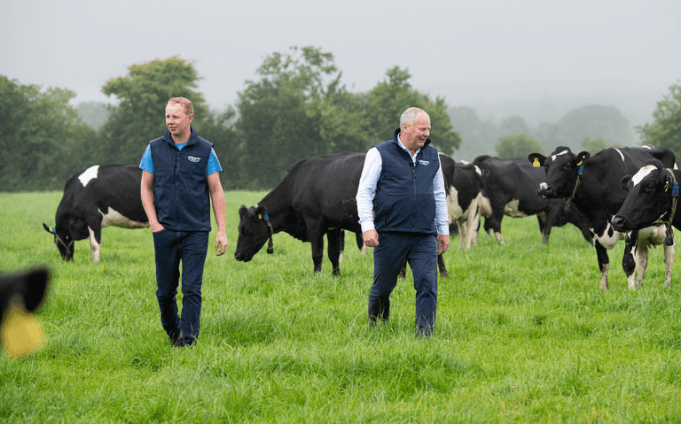 How this beloved Irish yogurt producer turns their products around in a single day How this beloved Irish yogurt producer turns their products around in a single day