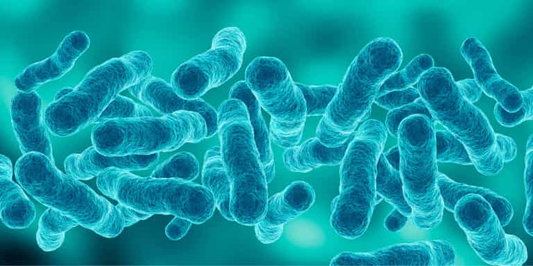World Sepsis Day: HSE highlights the signs and symptoms amid rising cases World Sepsis Day: HSE highlights the signs and symptoms amid rising cases