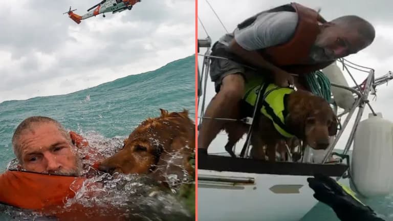 Sailor caught in hurricane shares heartbreaking message he told his dog as they sank Sailor caught in hurricane shares heartbreaking message he told his dog as they sank