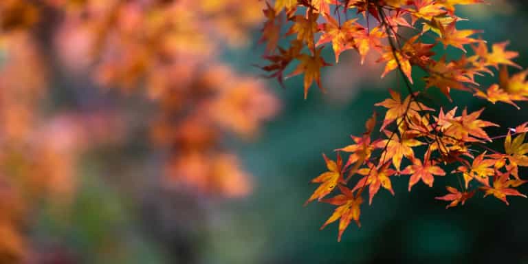 Expert reveals the one nutrient our kids need to eat more of in the autumn Expert reveals the one nutrient our kids need to eat more of in the autumn