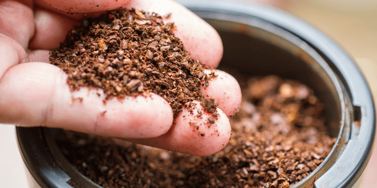 Coffee drinkers warned making easy disposal mistake could end up costing hundreds over Christmas Coffee drinkers warned making easy disposal mistake could end up costing hundreds over Christmas