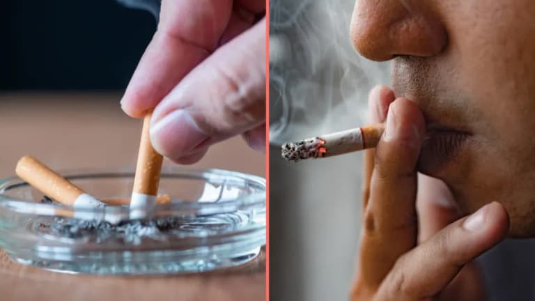 Smoking a single cigarette takes 20 minutes off life expectancy, study finds Smoking a single cigarette takes 20 minutes off life expectancy, study finds