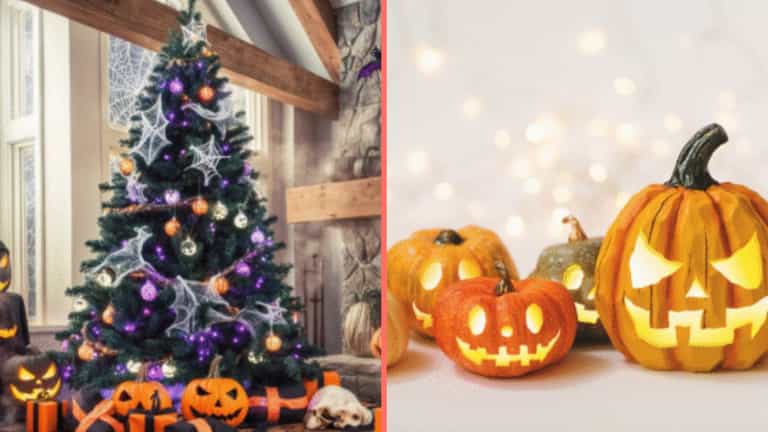 People baffled by the rise of ‘Halloween Christmas trees’ People baffled by the rise of ‘Halloween Christmas trees’