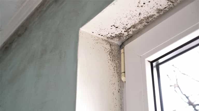 ‘Impressive’ device makes ‘huge difference’ to damp and mould – and doesn’t cost a penny to run ‘Impressive’ device makes ‘huge difference’ to damp and mould – and doesn’t cost a penny to run