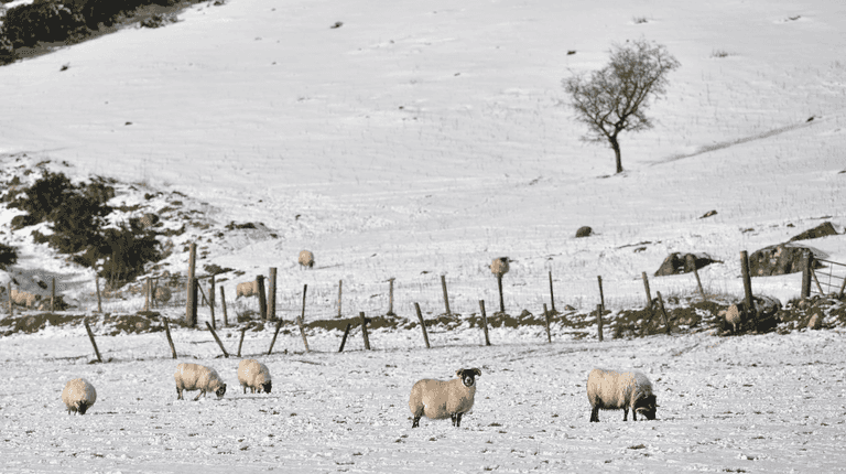 Weather experts warn when Arctic blast could bring snow to Ireland Weather experts warn when Arctic blast could bring snow to Ireland