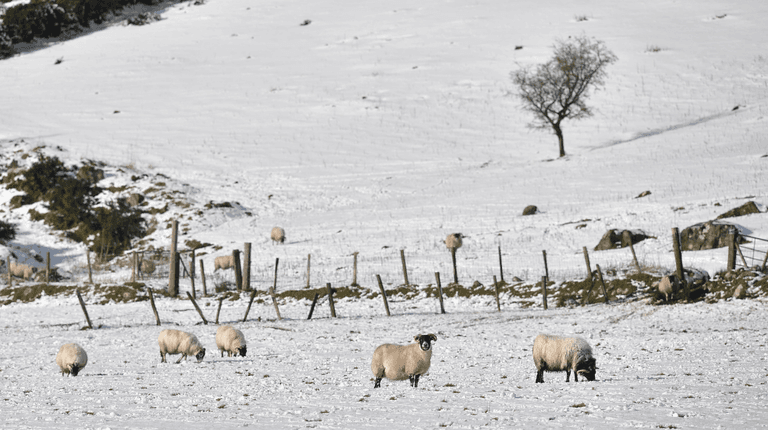 Weather experts warn when Arctic blast could bring snow to Ireland Weather experts warn when Arctic blast could bring snow to Ireland