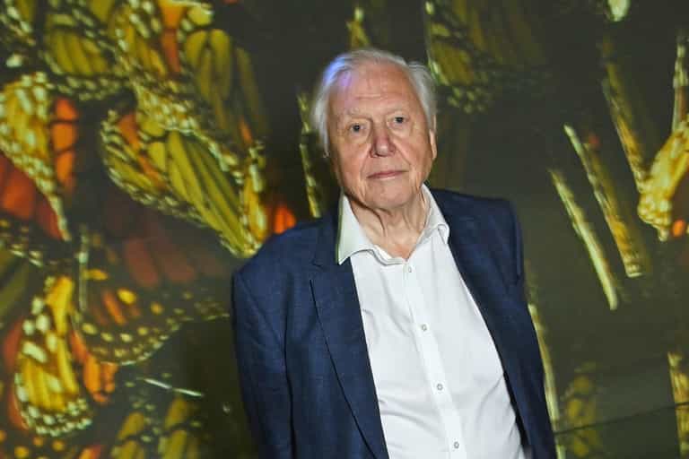 The one animal David Attenborough ‘hates’ as legendary environmentalist turns 100 The one animal David Attenborough ‘hates’ as legendary environmentalist turns 100
