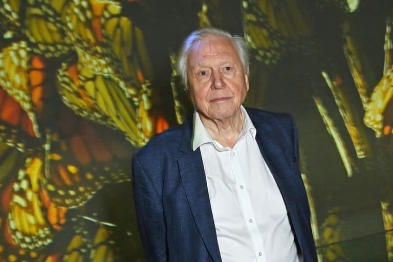 The one animal David Attenborough ‘hates’ as legendary environmentalist turns 100 The one animal David Attenborough ‘hates’ as legendary environmentalist turns 100