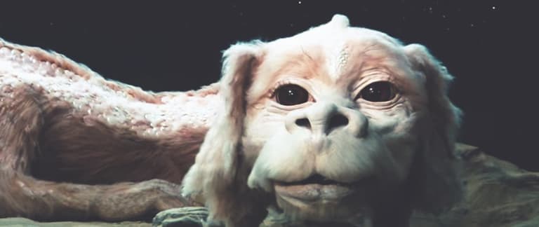 1,500 people joined a waiting list for a plush Falkor the Luck Dragon 1,500 people joined a waiting list for a plush Falkor the Luck Dragon