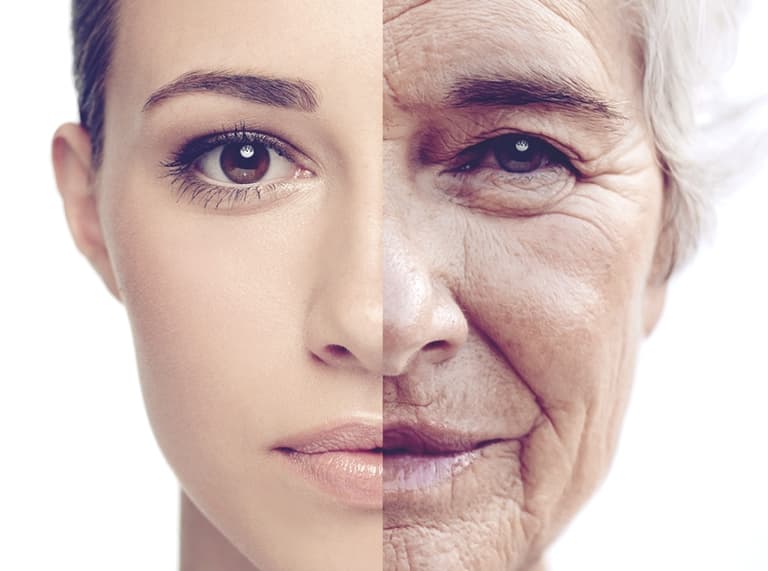 7 filling foods that slow the ageing process 7 filling foods that slow the ageing process