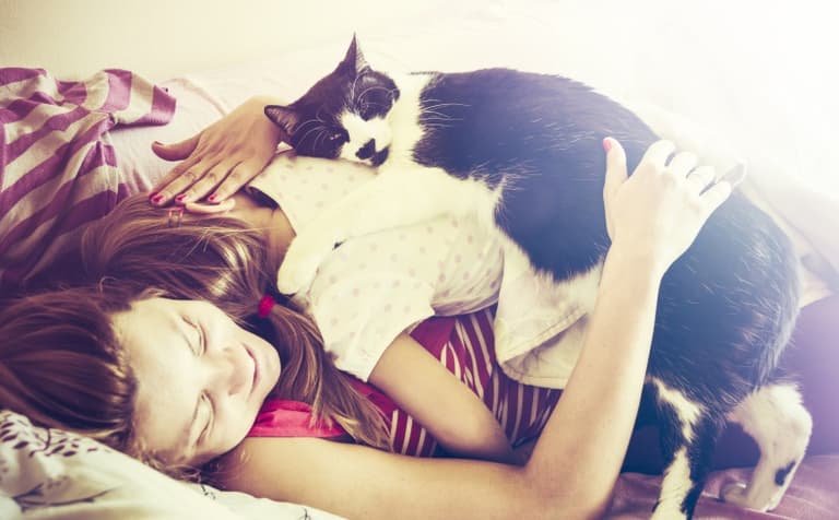 We Are Declaring Today ‘International Take A Nap’ Day (You Are Welcome!) We Are Declaring Today ‘International Take A Nap’ Day (You Are Welcome!)
