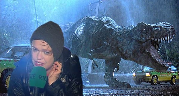 Storm Desmond: Teresa Mannion is the new Hero of the Nation Storm Desmond: Teresa Mannion is the new Hero of the Nation