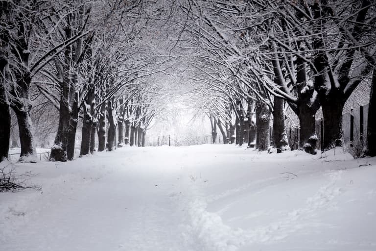 There’s “every chance” we’ll have a white Christmas There’s “every chance” we’ll have a white Christmas