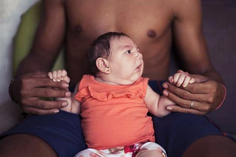 Zika virus: Brazil declares an end to the national emergency Zika virus: Brazil declares an end to the national emergency