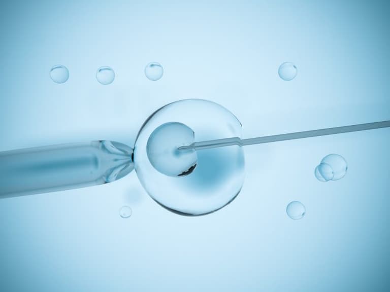 Four decades of IVF: how far we’ve come since the first baby back in 1978 Four decades of IVF: how far we’ve come since the first baby back in 1978