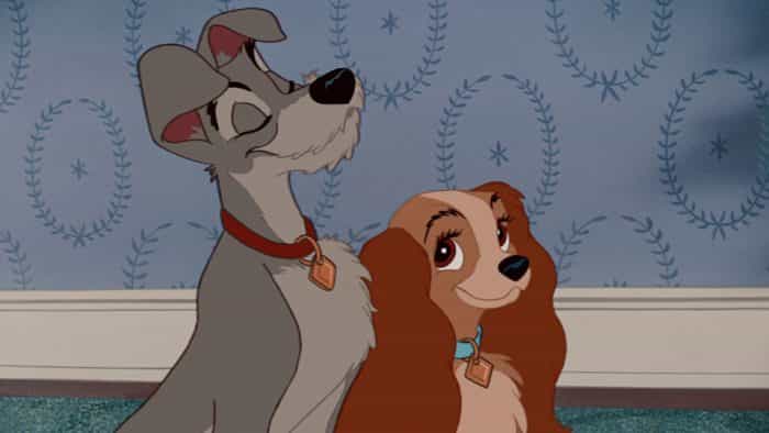 Disney has cast a rescue dog as the main lead in Lady And The Tramp remake Disney has cast a rescue dog as the main lead in Lady And The Tramp remake
